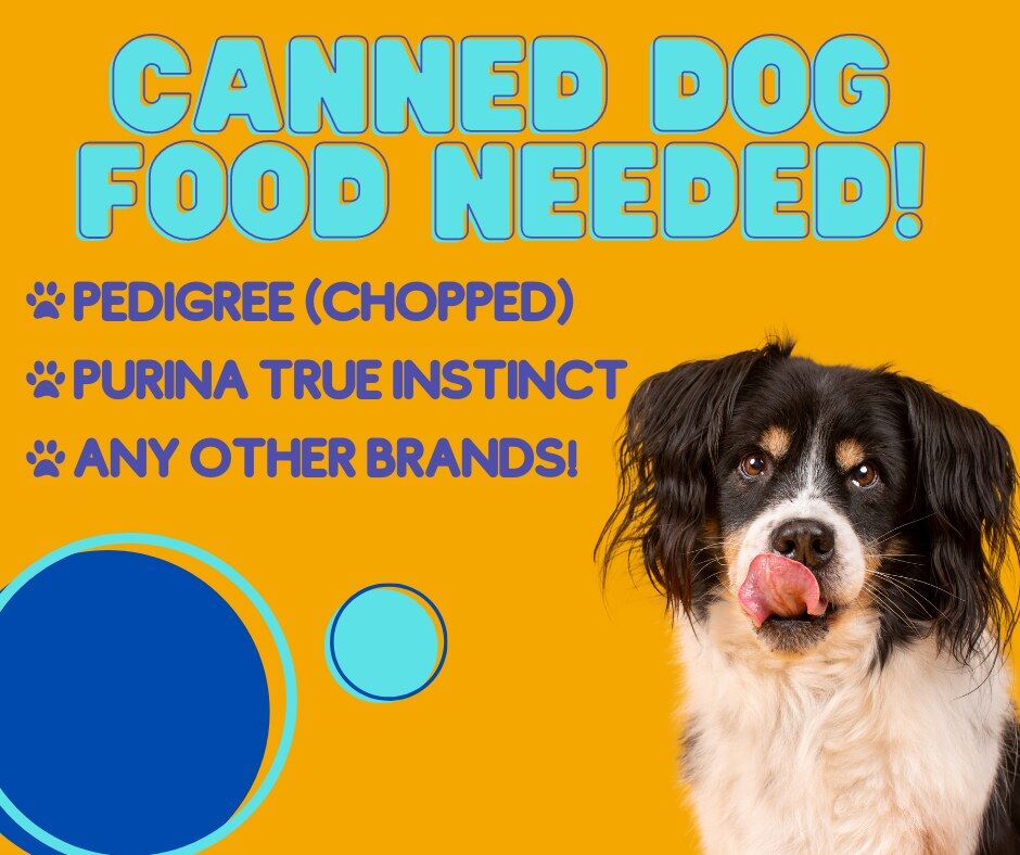Humane Society waiving dog adoption fees through end of May; canned dog food needed